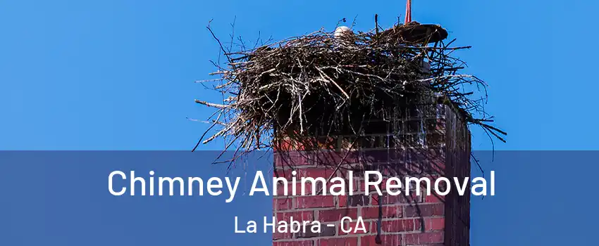 Chimney Animal Removal La Habra - CA