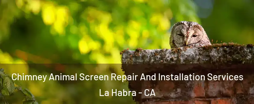  Chimney Animal Screen Repair And Installation Services La Habra - CA