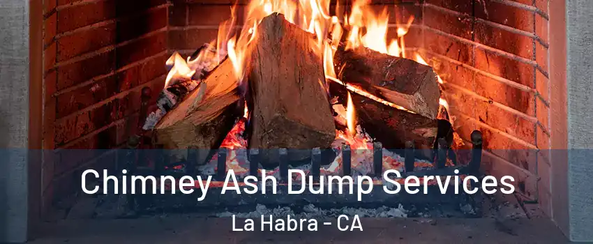  Chimney Ash Dump Services La Habra - CA