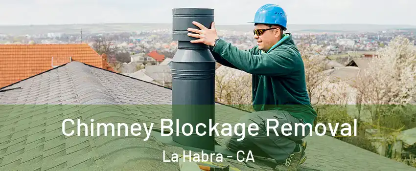  Chimney Blockage Removal La Habra - CA
