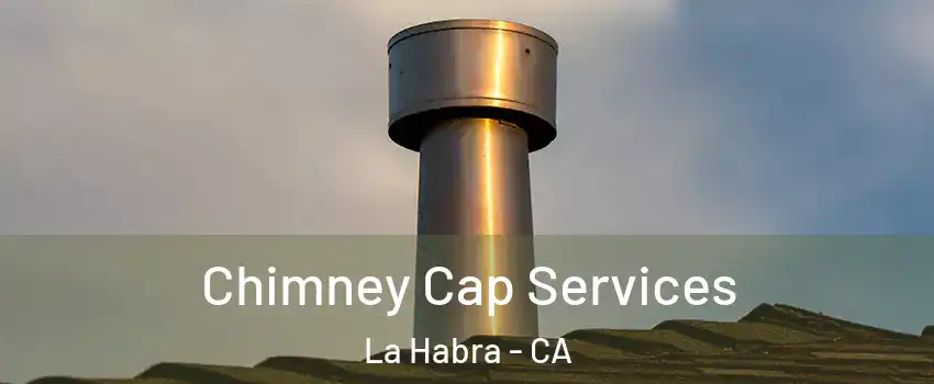  Chimney Cap Services La Habra - CA