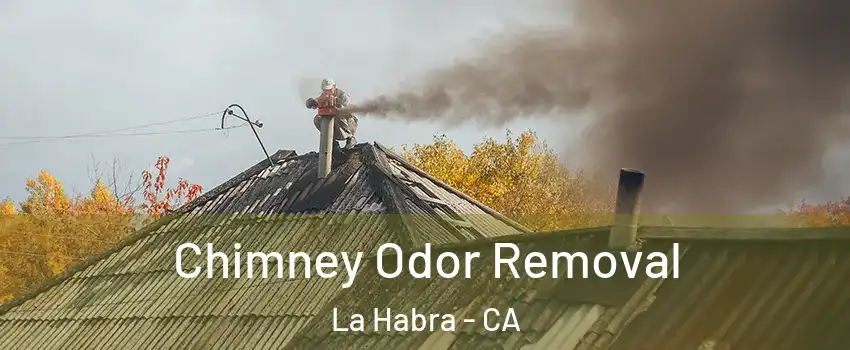  Chimney Odor Removal La Habra - CA