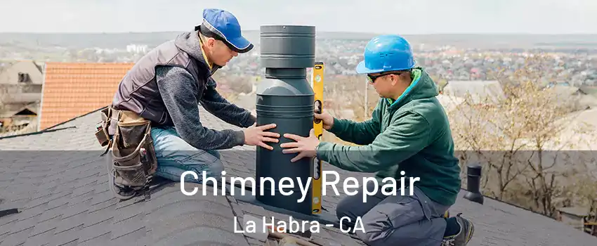  Chimney Repair La Habra - CA