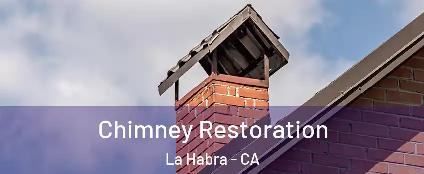  Chimney Restoration La Habra - CA