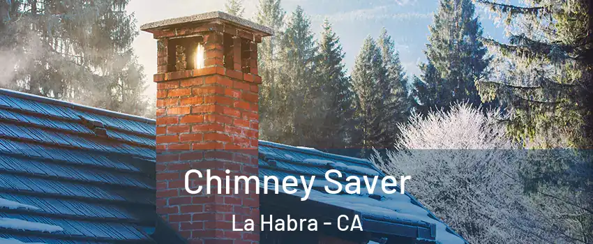  Chimney Saver La Habra - CA