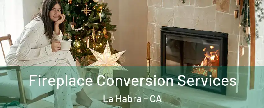  Fireplace Conversion Services La Habra - CA