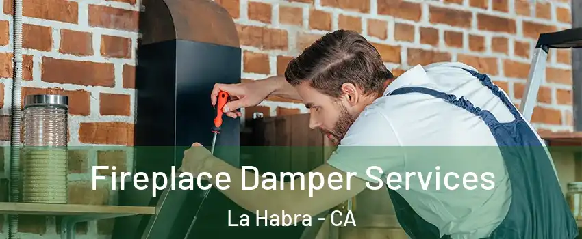  Fireplace Damper Services La Habra - CA