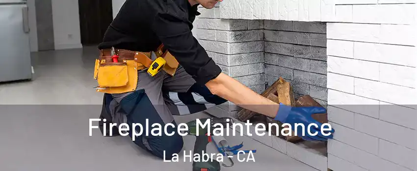  Fireplace Maintenance La Habra - CA