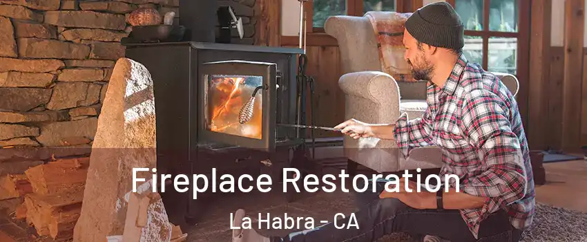  Fireplace Restoration La Habra - CA
