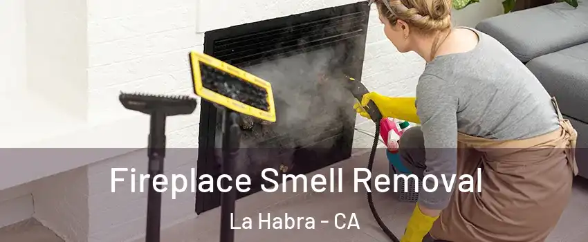  Fireplace Smell Removal La Habra - CA