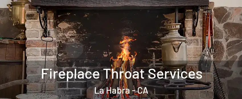  Fireplace Throat Services La Habra - CA