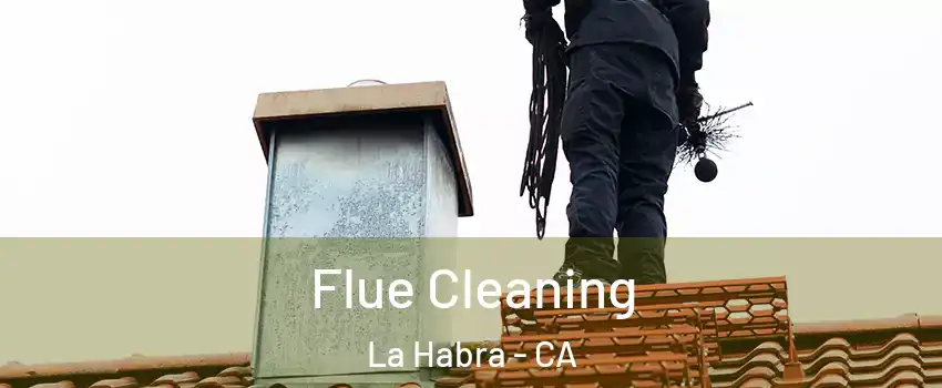  Flue Cleaning La Habra - CA