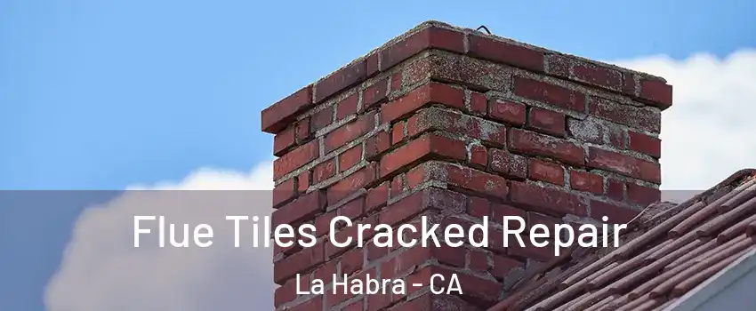  Flue Tiles Cracked Repair La Habra - CA
