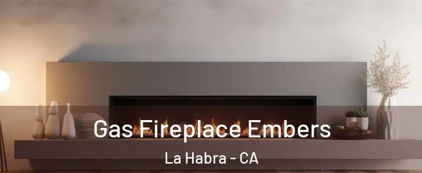  Gas Fireplace Embers La Habra - CA