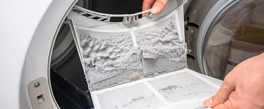 Best Dryer Lint Removal Company in La Habra, California