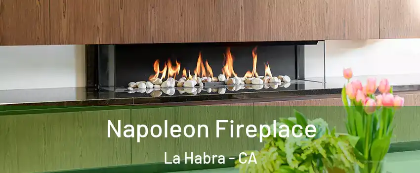  Napoleon Fireplace La Habra - CA