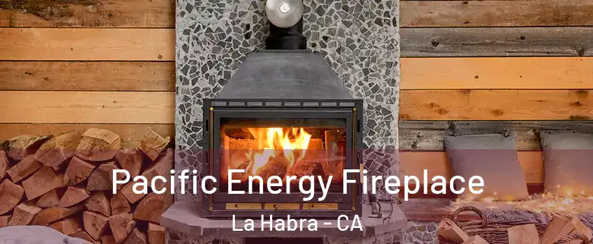  Pacific Energy Fireplace La Habra - CA